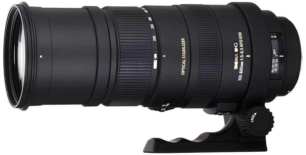 新品級 APO 150-500mm f5-6.3 DG OS ニコン B495 新品級 APO 150-500mm f5-6.3 DG OS ニコン B495